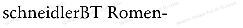 schneidlerBT Romen字体转换